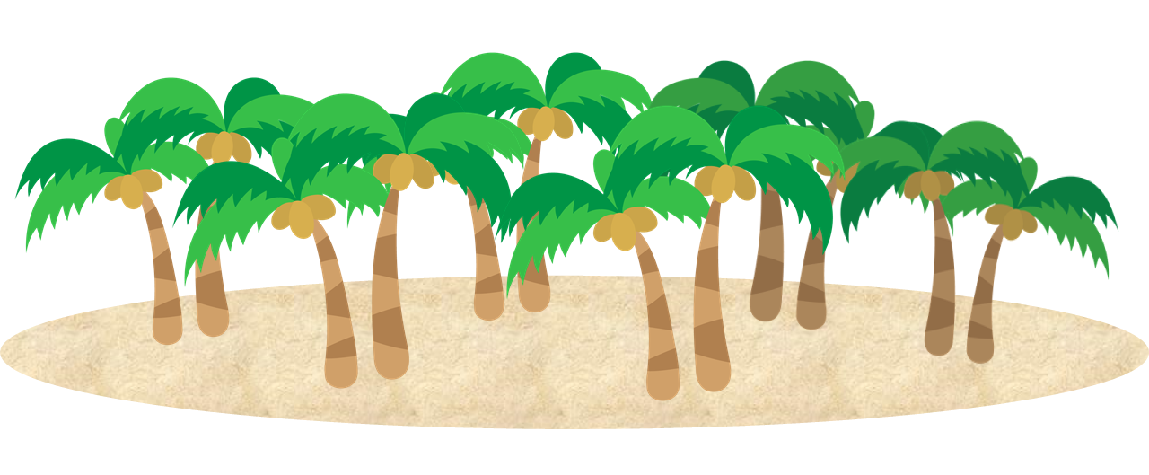 札幌　メンタルコーチング　こころの教室