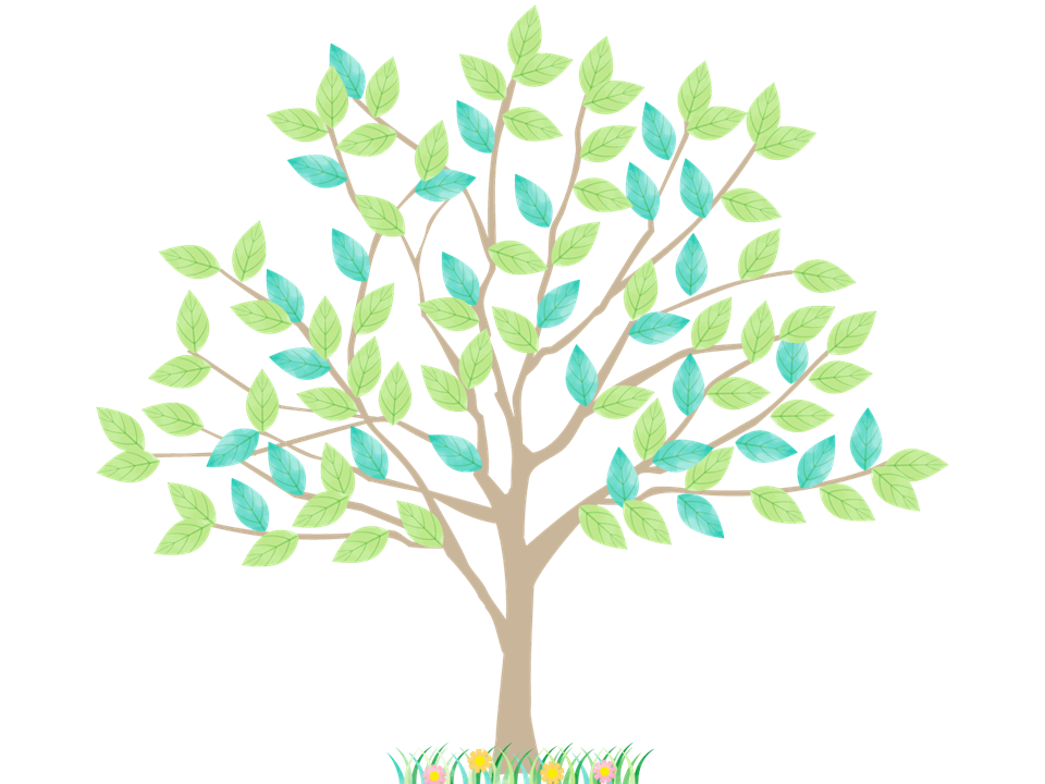 札幌　メンタルコーチング　こころの教室