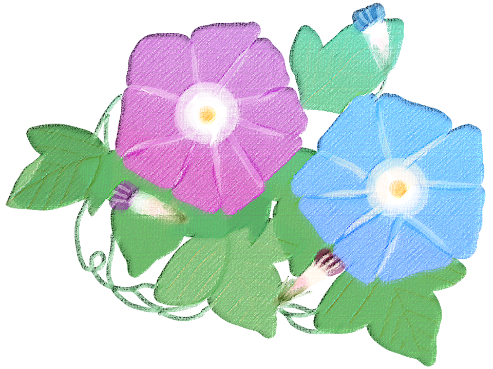 札幌　メンタルコーチング　こころの教室